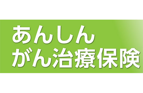 東京海上日動あんしん生命
